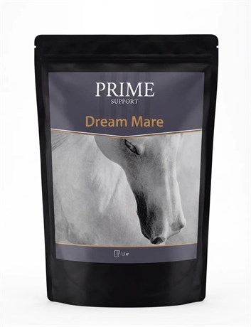 Dream Mare 1690