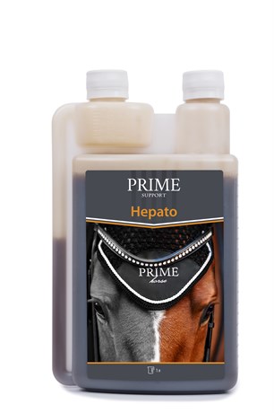 Hepato 1694