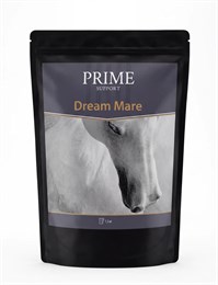 Dream Mare 1690